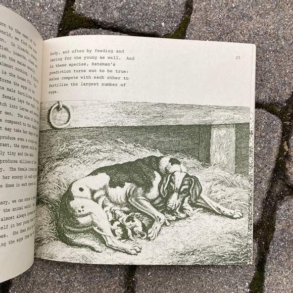 1971 Male Female Diffences in Animals Nature Education Development Center Book - Picture 6 of 14